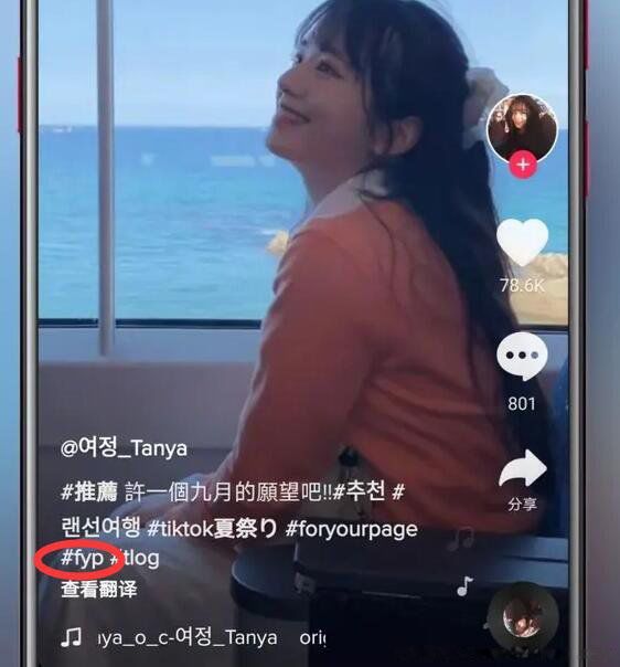 ���������ŵ�������ĸ��ʲô fyp��������ʲô��˼