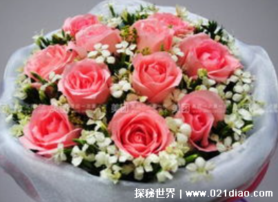 11��õ�����ʲô��˼ Ů���յ�11��õ�廨�ĺ���