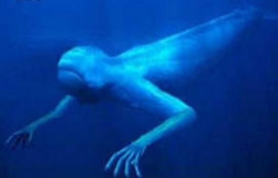 ningen��ʲô��˼ �ϼ���������ningen����������