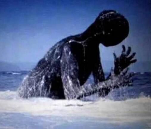 ningen��ʲô��˼ �ϼ���������ningen����������