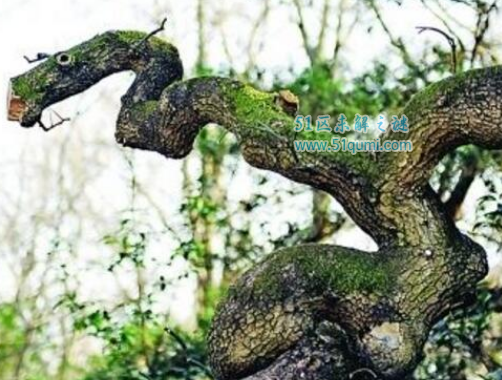 ʮ��Σ�ճ���ֲ�� ���ֻ��ʹ���֩��ڹѸ���Ĺ�ϵ��ʲô