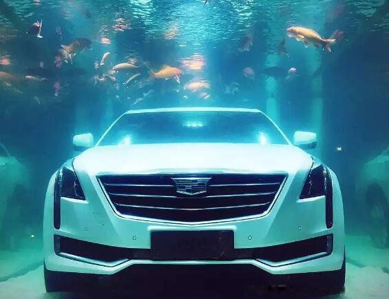 ��������׷�����¼����� ���꿭������׷�����Ĺ����������