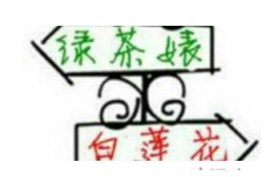 白莲花是什么样的女生 是贬义词还是褒义词