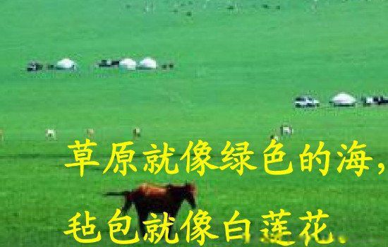白莲花是什么样的女生 是贬义词还是褒义词