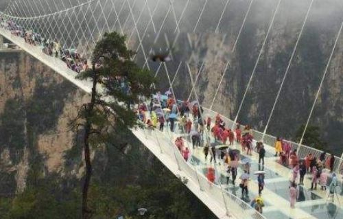 �����п��в������� �ҹ����в�������������