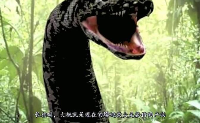 泰坦巨蟒灭绝了吗 史前泰坦巨蟒真的存在吗