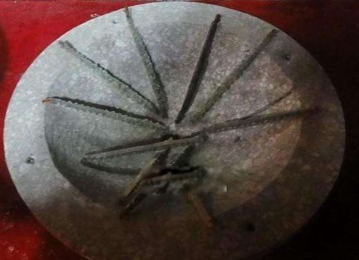 �������ĸ��ط��� ʮ���׹�֮����ʲô