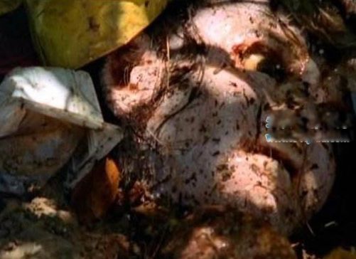 �������ĸ��ط��� ʮ���׹�֮����ʲô