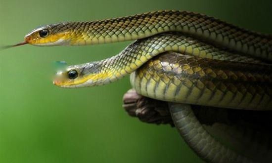 �������ĸ��ط��� ʮ���׹�֮����ʲô