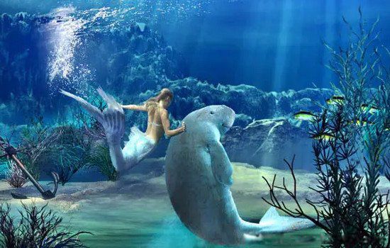 �������������ʲô���� ������ѧ��������ʲô