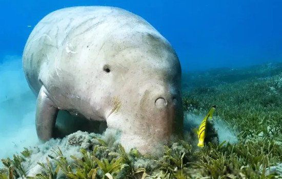 �������������ʲô���� ������ѧ��������ʲô