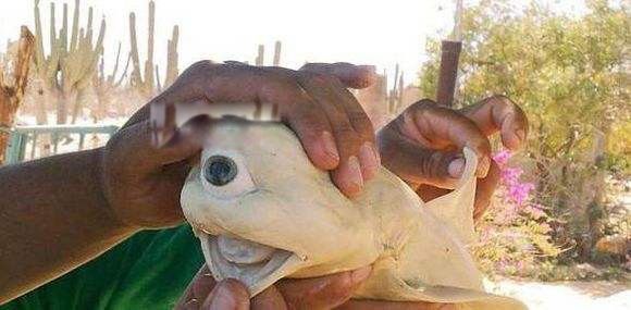 ����������Ĵ����� ��������û�ж�������
