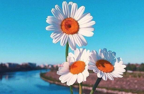 ��ִ������������ 20������к���������