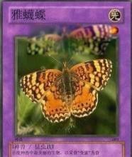 网络说的神兽是指什么 河蟹神兽潜烈蟹是什么东西