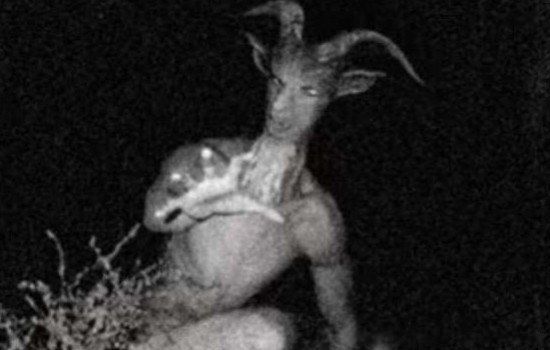 ɽ���˳��˵�ͼƬ �ֲ�ɽ���˳�ʲô������Ĵ�����