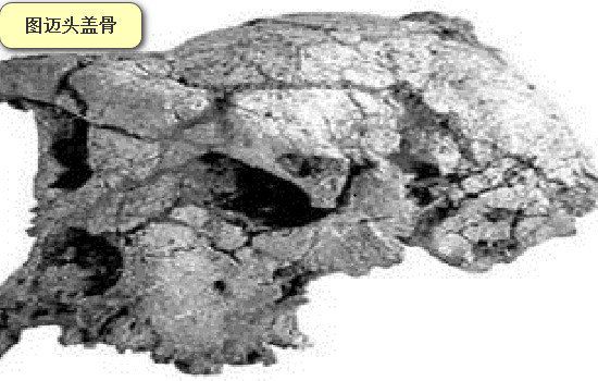 �����������ʲô�� ����������Դ������