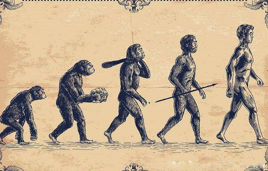 �����������ʲô�� ����������Դ������