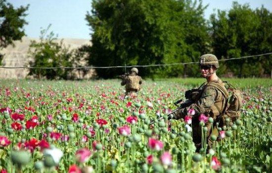 ������λ������������ش� ���ʶ�Դ����ָ�ļ������ҵĽ��紦