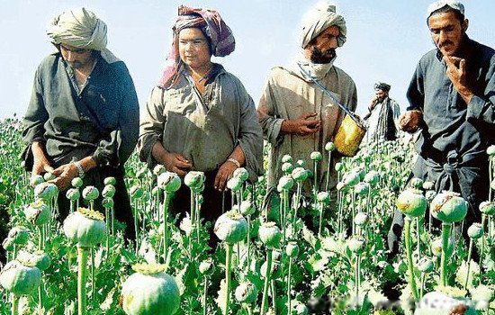 ������λ������������ش� ���ʶ�Դ����ָ�ļ������ҵĽ��紦