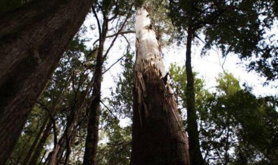 ��������ߵ���ǰʮ������ ��ߵ�����һ���ж����׸�