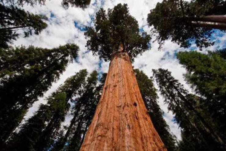 ��������ߵ���ǰʮ������ ��ߵ�����һ���ж����׸�