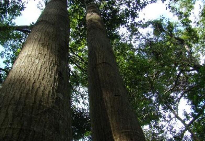 ��������ߵ���ǰʮ������ ��ߵ�����һ���ж����׸�