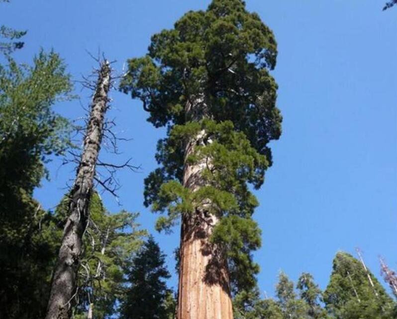 ��������ߵ���ǰʮ������ ��ߵ�����һ���ж����׸�