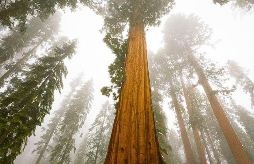 ��������ߵ���ǰʮ������ ��ߵ�����һ���ж����׸�