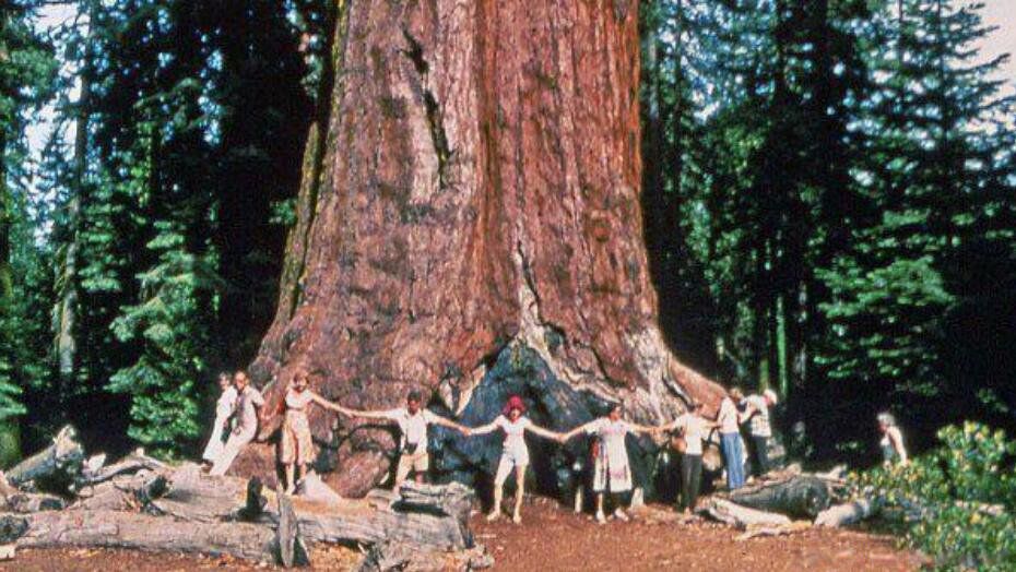 ��������ߵ���ǰʮ������ ��ߵ�����һ���ж����׸�