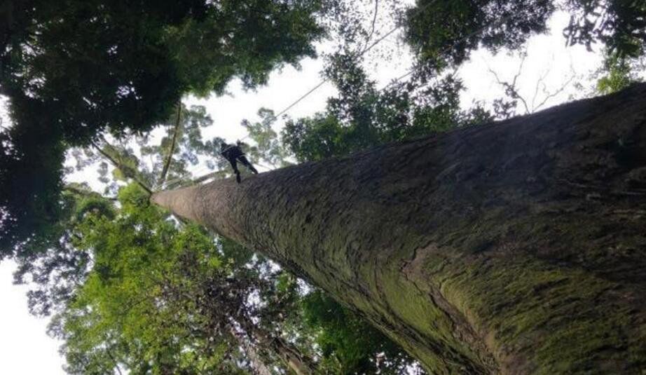 ��������ߵ���ǰʮ������ ��ߵ�����һ���ж����׸�