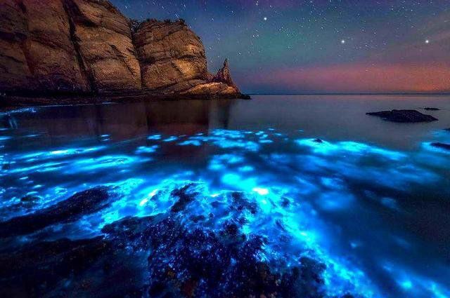 蓝眼泪是怎么形成的 一般几月份出现