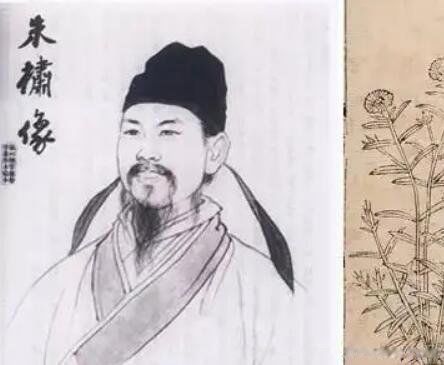 救荒本草是什么代朱编纂的一部 是哪个朝代的作品