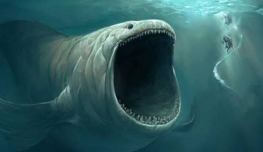 世界上最恐怖的海底生物是什么 十个最吓人海底生物