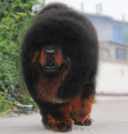 �й���һ������ʲô �����޲������ּ۸����