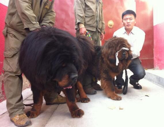 �й���һ������ʲô �����޲������ּ۸����