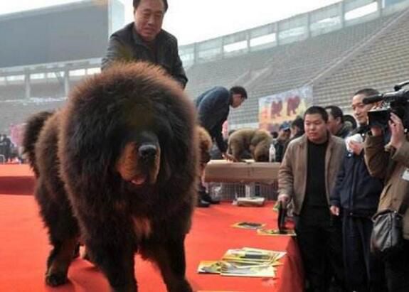 �й���һ������ʲô �����޲������ּ۸����