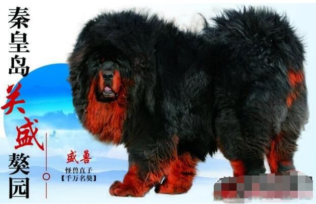 �й���һ������ʲô �����޲������ּ۸����