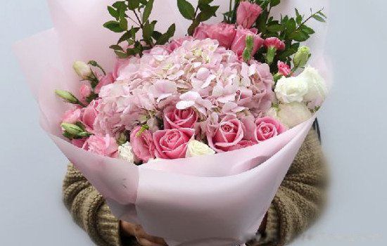 ��õ���Ԣ����ʲô ��õ���ʺ���ʲô��