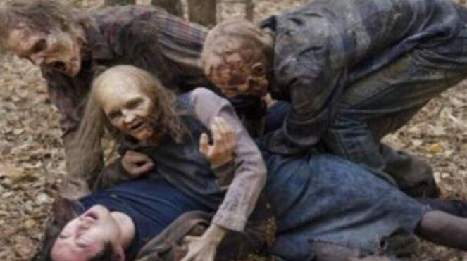 1987�½�����ɥʬ�¼� ���ｩʬ�¼�����ͼ��ô����