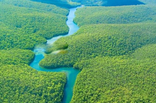 ��������ĺ�������ǰʮ ��ĺ��������޺ӻ�������ѷ��