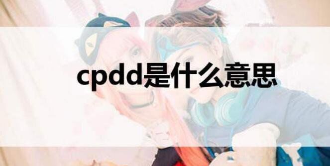 cpdd是什么意思网络用语 可以理解组成情侣关系