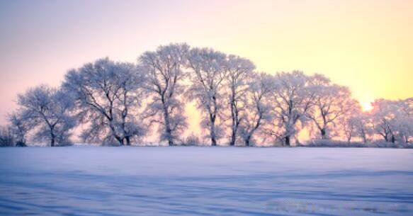 雪景文案简短朋友圈 雪景文案短句干净治愈