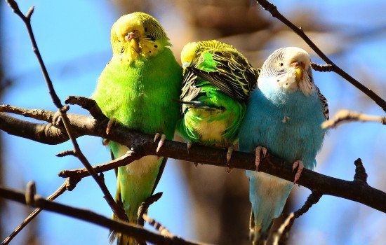 ��Ƥ���ķ����˻��ܻ����� ����˵����ֳ������ע������