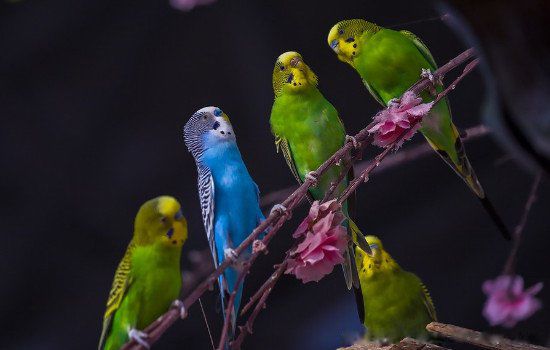 ��Ƥ���ķ����˻��ܻ����� ����˵����ֳ������ע������