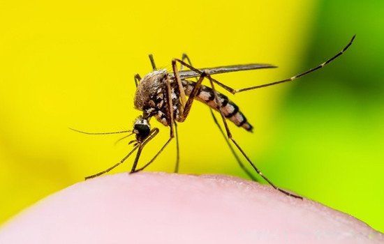 ����ϲ��ҧ�����˺�Ѫ���й�ϵ�� ʲôѪ��������