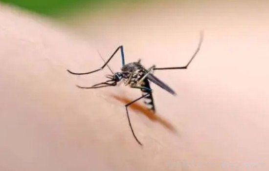 ����ϲ��ҧ�����˺�Ѫ���й�ϵ�� ʲôѪ��������