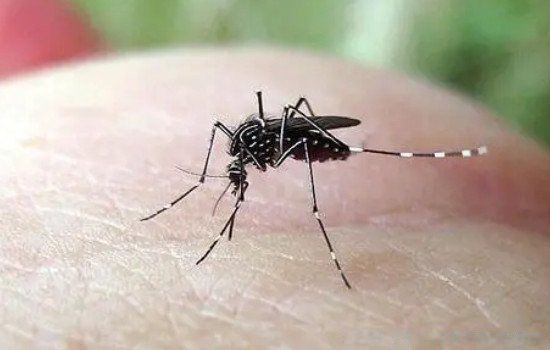 ����ϲ��ҧ�����˺�Ѫ���й�ϵ�� ʲôѪ��������