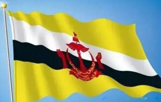 ������д�ֵĹ�������Щ 10��������д�ֵĹ�������