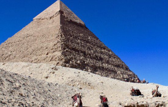 �������������� �����������������ĸ�