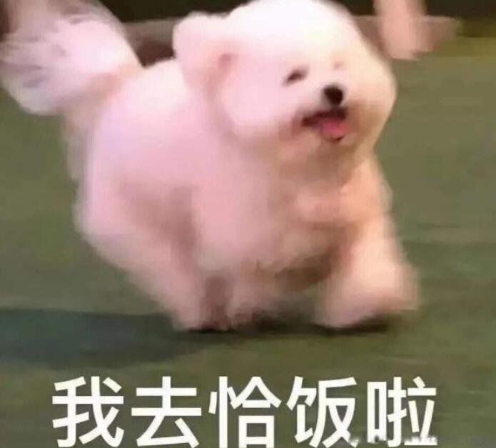 干饭是什么意思 干饭人干饭魂干饭都是人上人啥意思